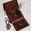 ptn n4c 05 hwm brown 6