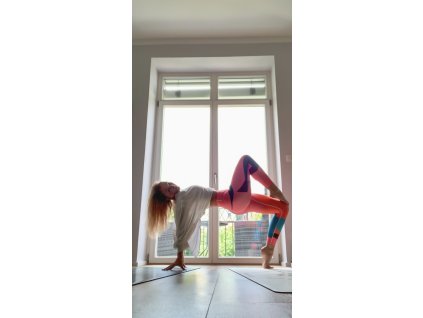 Private Yoga class 60min.