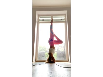 Private Yoga class 90min.