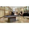Billiard table Vision Vision WO
