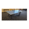 ping maxplay2