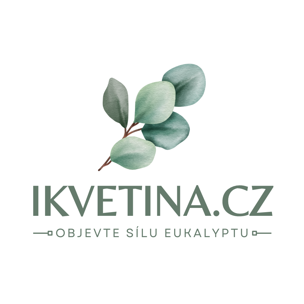 Eukalyptus shop