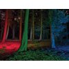 Led Baterka LedLenser T2QC