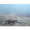 Fotopasca TETRAO Spromise S328 Gen.II 30Mpx 940nm MMS/4G - O2 SIM karta ZADARMO