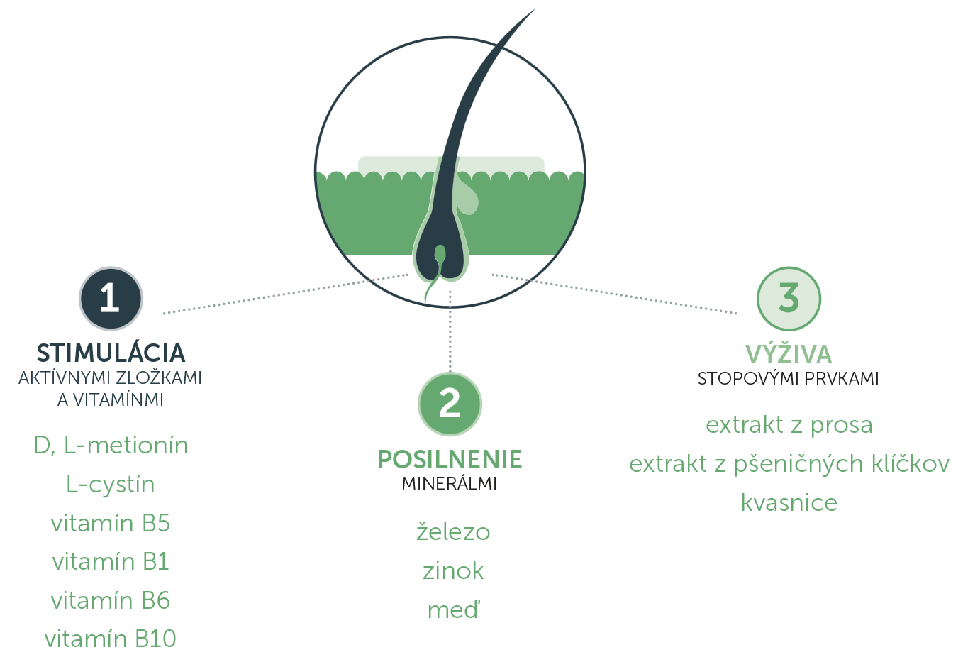 Revalid_OTC_Ingredients-sk-croped