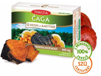 Terezia Company Čaga + Reishi a Rakytník 60 kapsúl