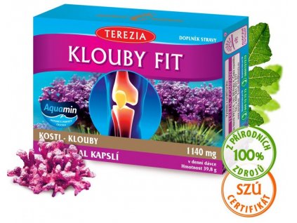 Terezia Company Kĺby fit 60 kapsúl