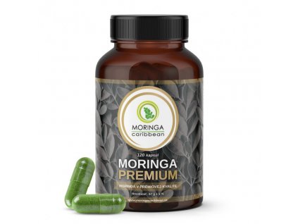 MORINGA caribbean premium 120kapsul iliek