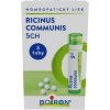 RICINUS COMMUNIS CH5 3x4 g (triopack)