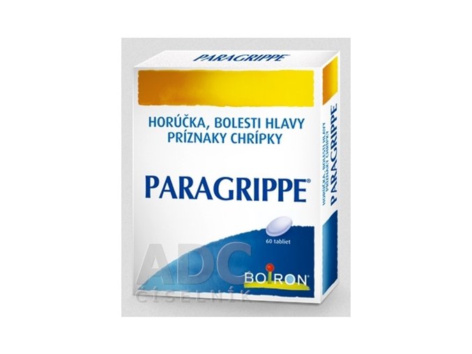 paragrippe ilieky com