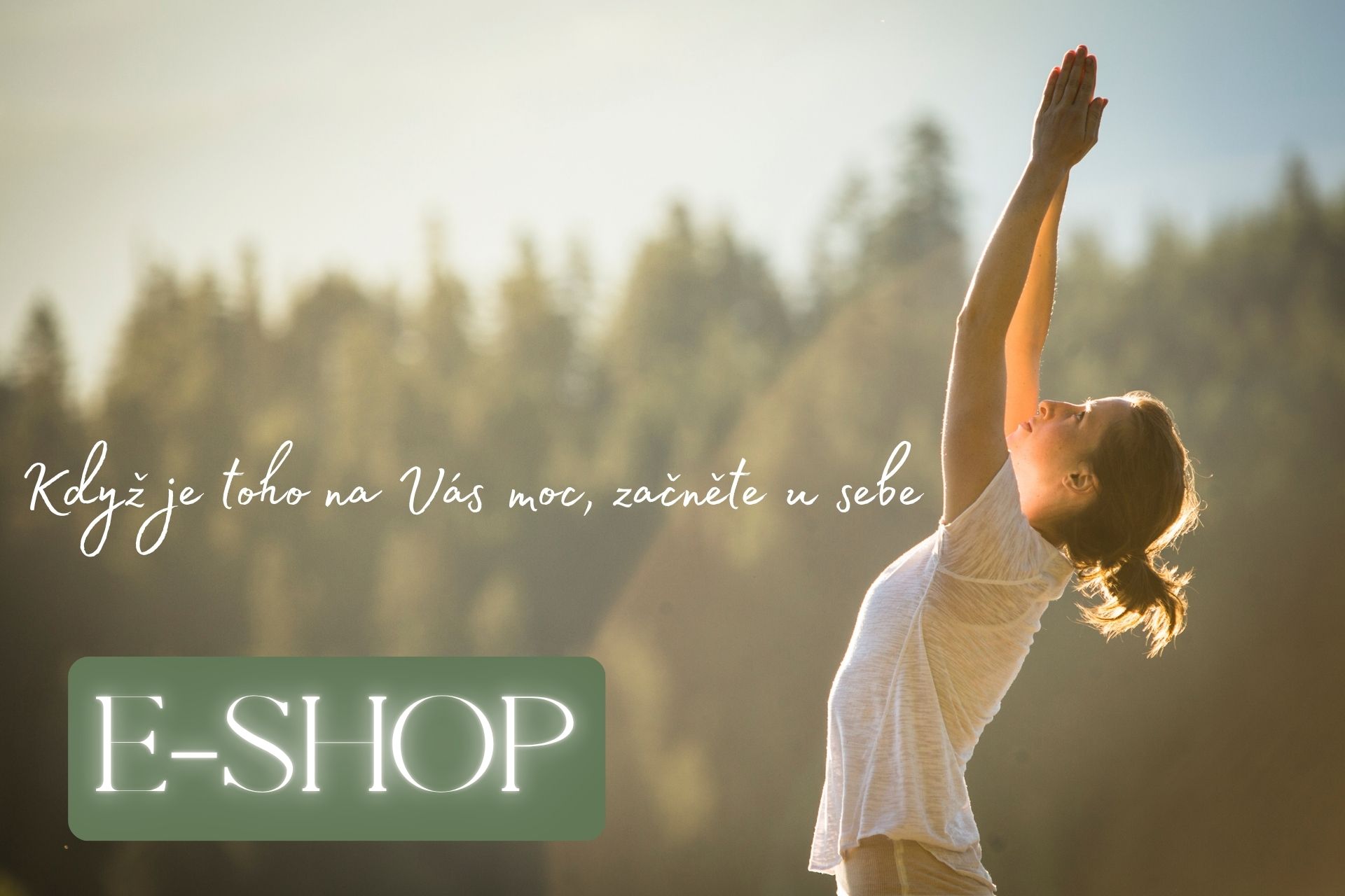 e-shop