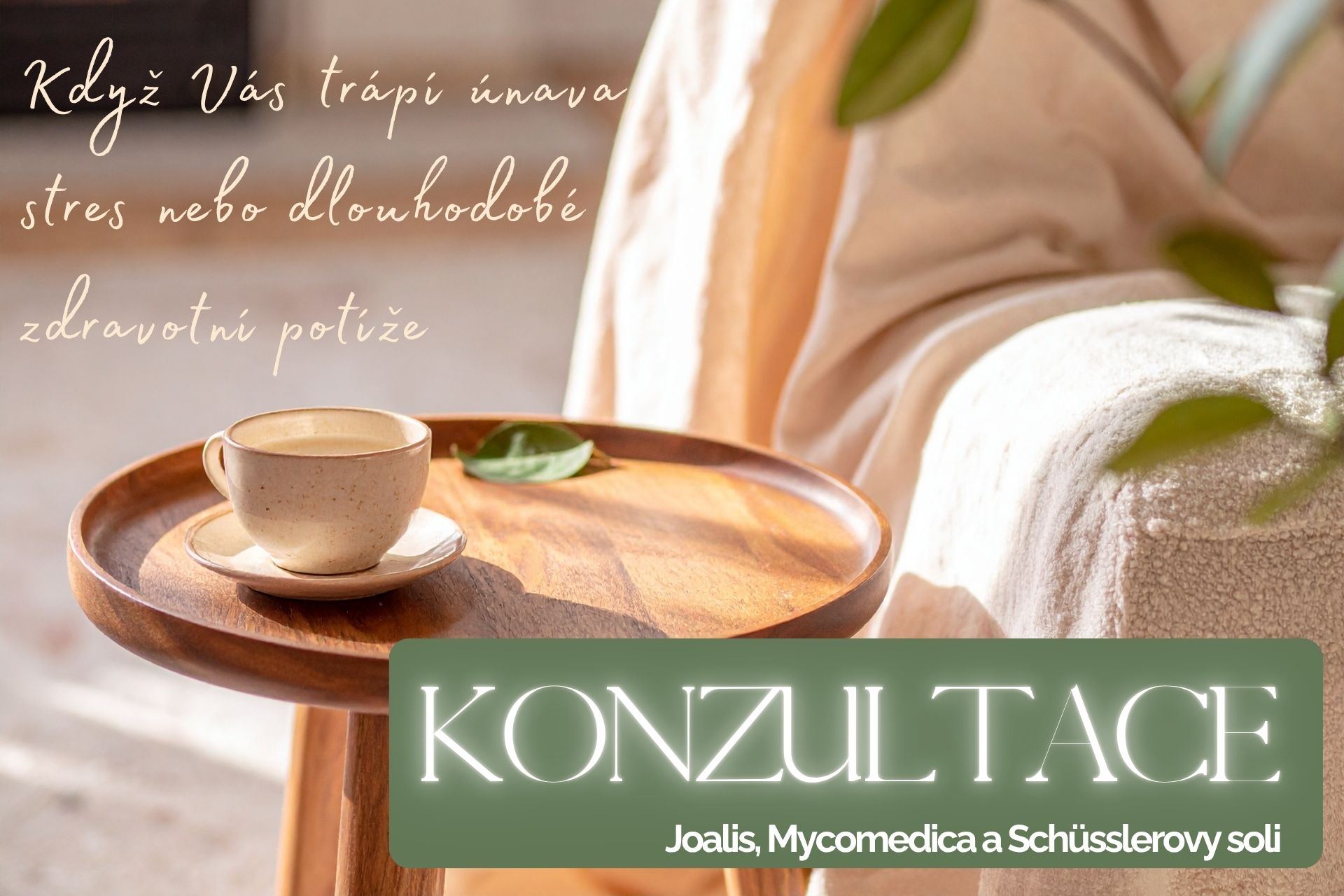 Konzultace Joalis