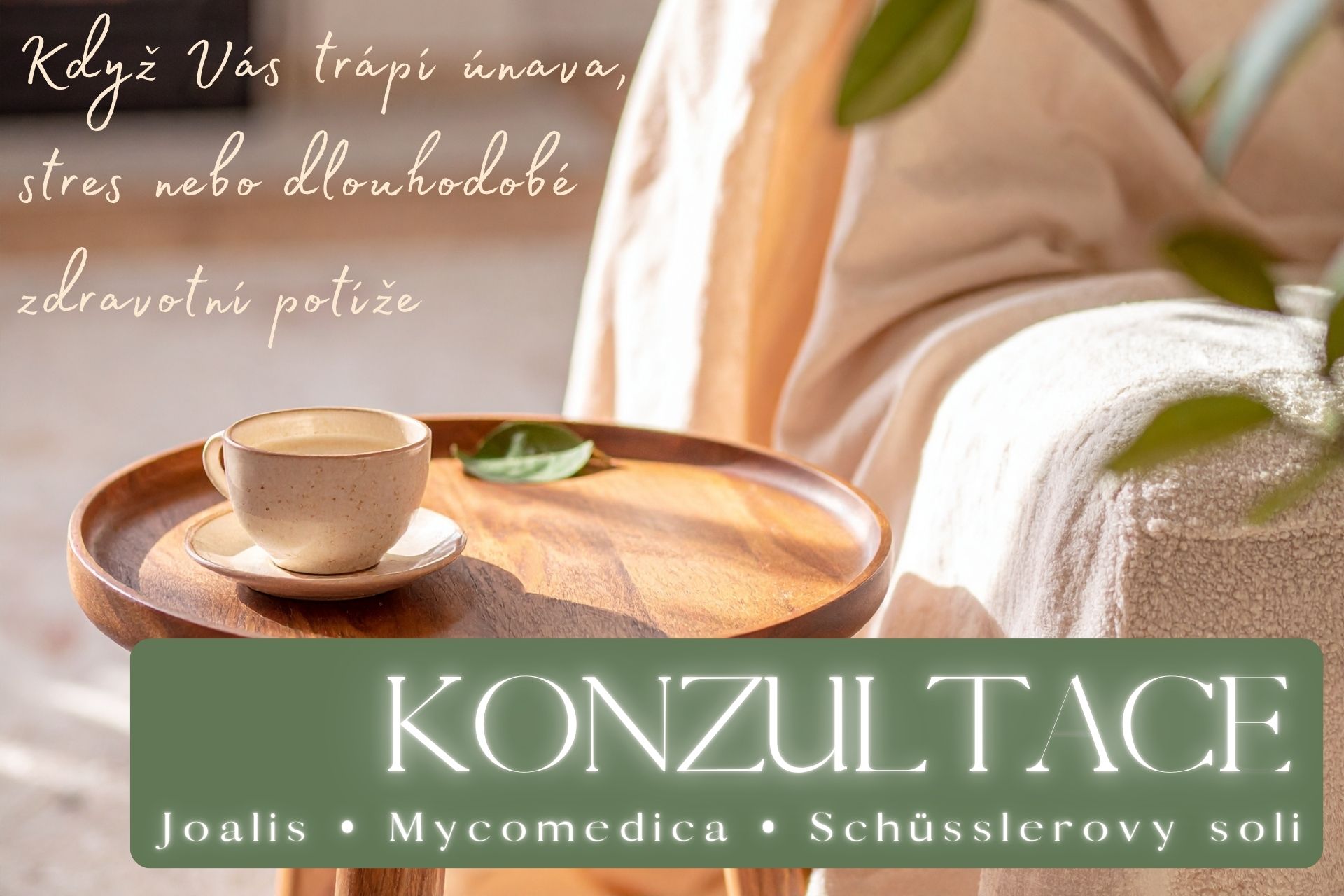 Konzultace Joalis