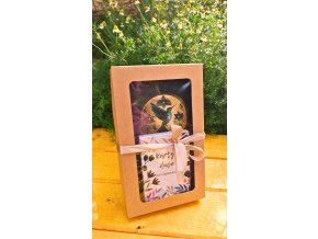 KOLIBŘÍK blok A5, karty