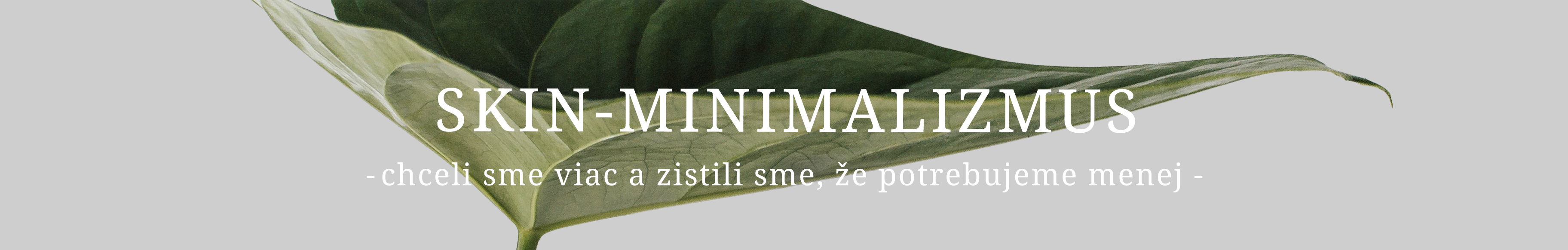 skin-minimalizmus_1