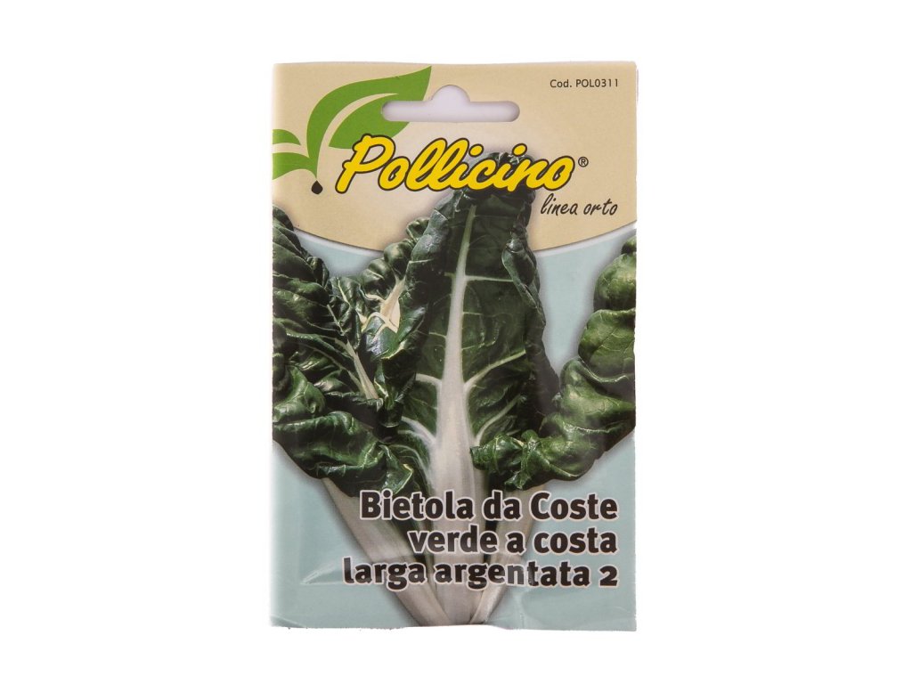BIETOLA DA COSTE VERDE IN SEMENZA
