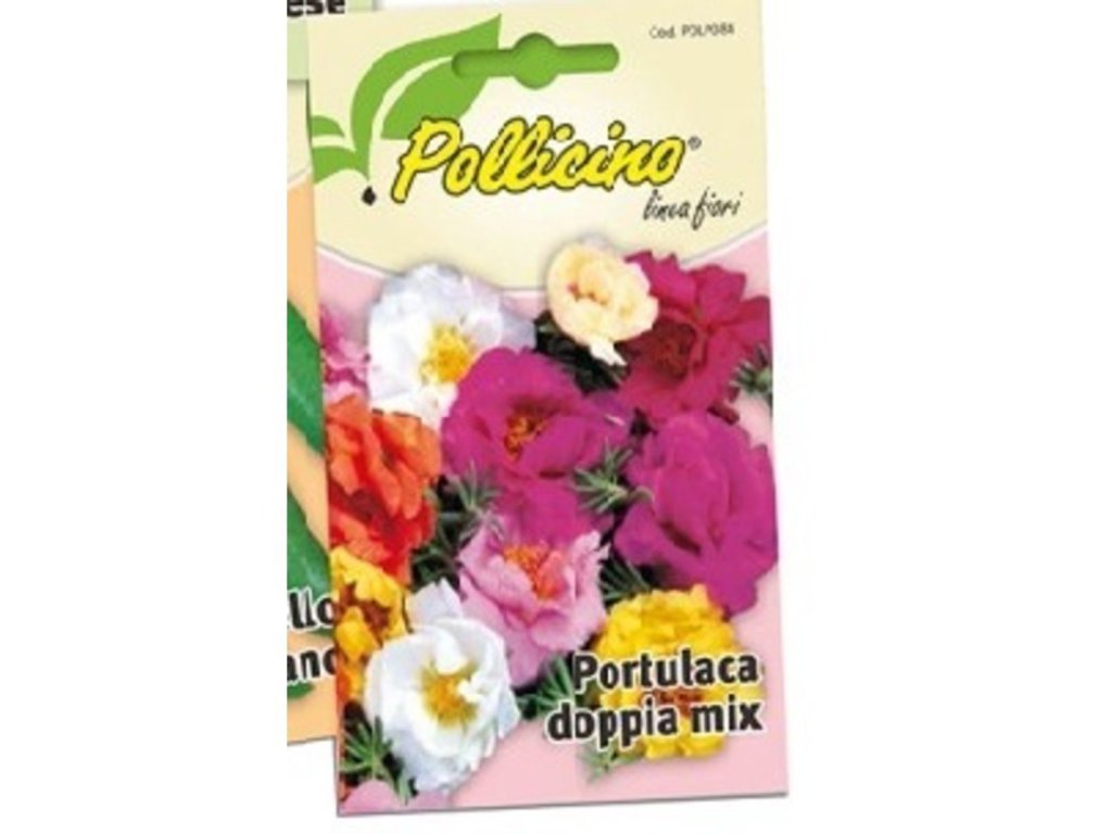 PORTULACA DOPPIA MIX IN SEMENZA