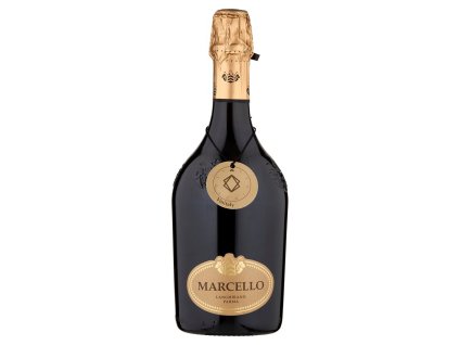 Ariola Lambrusco Marcello IGT Emilia Oro 750ml