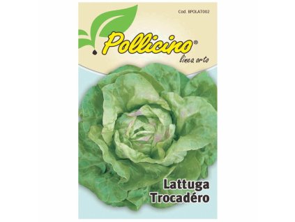 POLLICINO LATTUGA ESTIVA TROC.