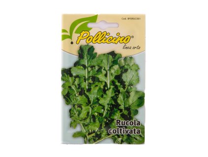 RUCOLA COLTIVATA IN SEMENZA