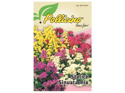 STATICE SINUATA MIX IN SEMENZA