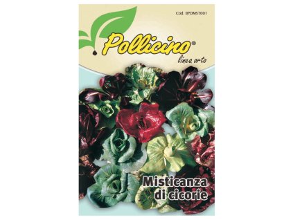 MISTICANZA DI CICORIE IN SEMENZA