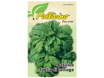 POLLICINO BASILICO FOGLIA LATT