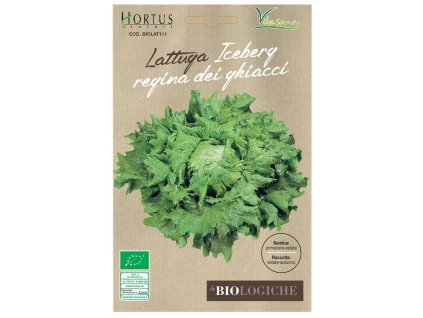 LATTUGA ICEBERG REG.GHIACCI BS