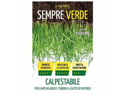 PRATO SEMPREVERDE