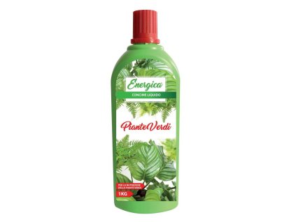 CONCIME LIQUIDO PER PIANTE VERDI