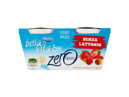 YOGURT MAGRO ALLE FRAGOLE E FRAGOLINE DI BOSCO