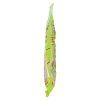 Goleador Party mix 143 g