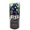Fizz Cider Blueberry 4,0° 500ml