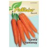 CAROTA CHANTENAY IN SEMENZA