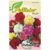 POLLICINO GAROFANO CHABAUD