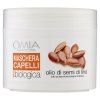 MASCHERA CAPELLI LINO ECOBIO