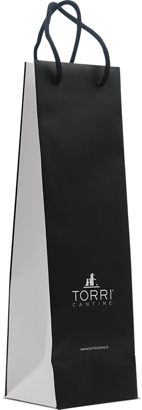 Taška na 1 víno Torri Cantine