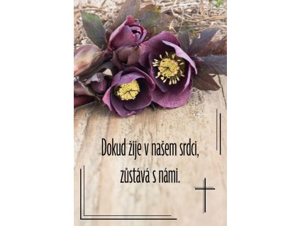 Kondolence 3  Katalogové číslo: K0128  EAN: 8594201843280