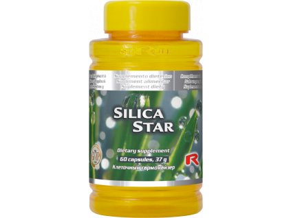 SILICA Star - Starlife