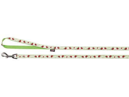 Obojek s vodítkem XS-S 22-35cm/1cm 1,2 m světle zelený