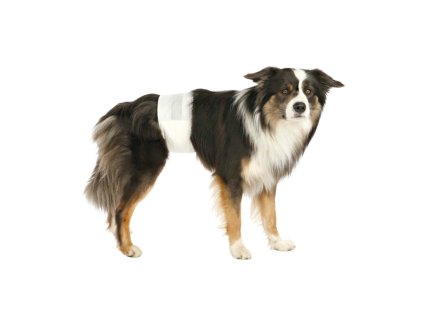 Papírové pleny pro psy L-XL 60-80 cm [12 ks/bal.]