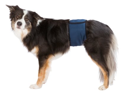 Břišní pás na podložky pro psa samce M 45-55 cm tmavě modrý