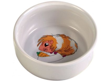 Keramická miska pro morče s obrázkem 250 ml/11 cm