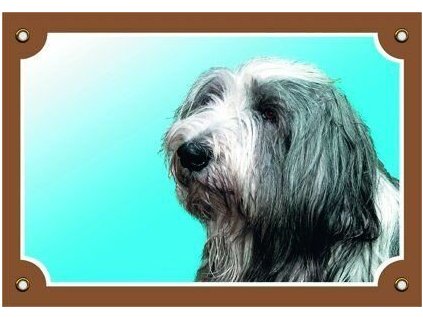 Cedule na vrata Bearded kolie