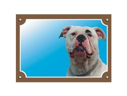 Cedule na vrata Americký buldok