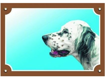 Cedule na vrata Anglický Setr bílý