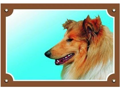 Cedule na vrata Kolie