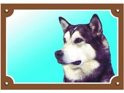 Cedule na vrata Malamut