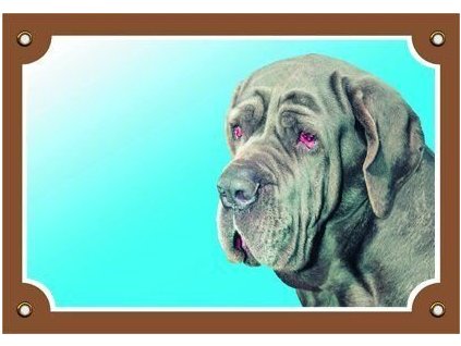 Cedule na vrata Neapolský mastin