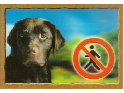 Cedule na vrata 3D Labradorský retrivr hnědý